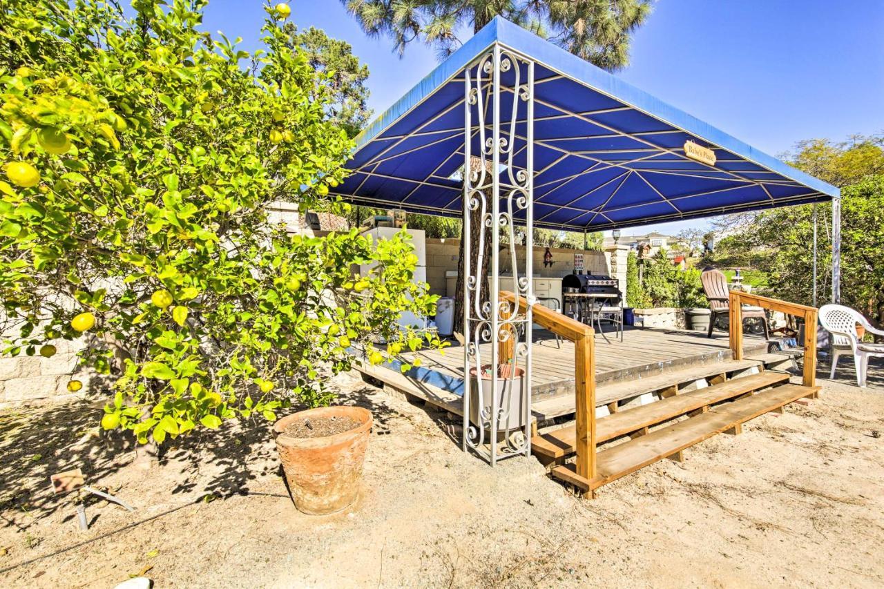 Sunny Bonita Studio About 5 Mi To Historic Dtwn! Bagian luar foto