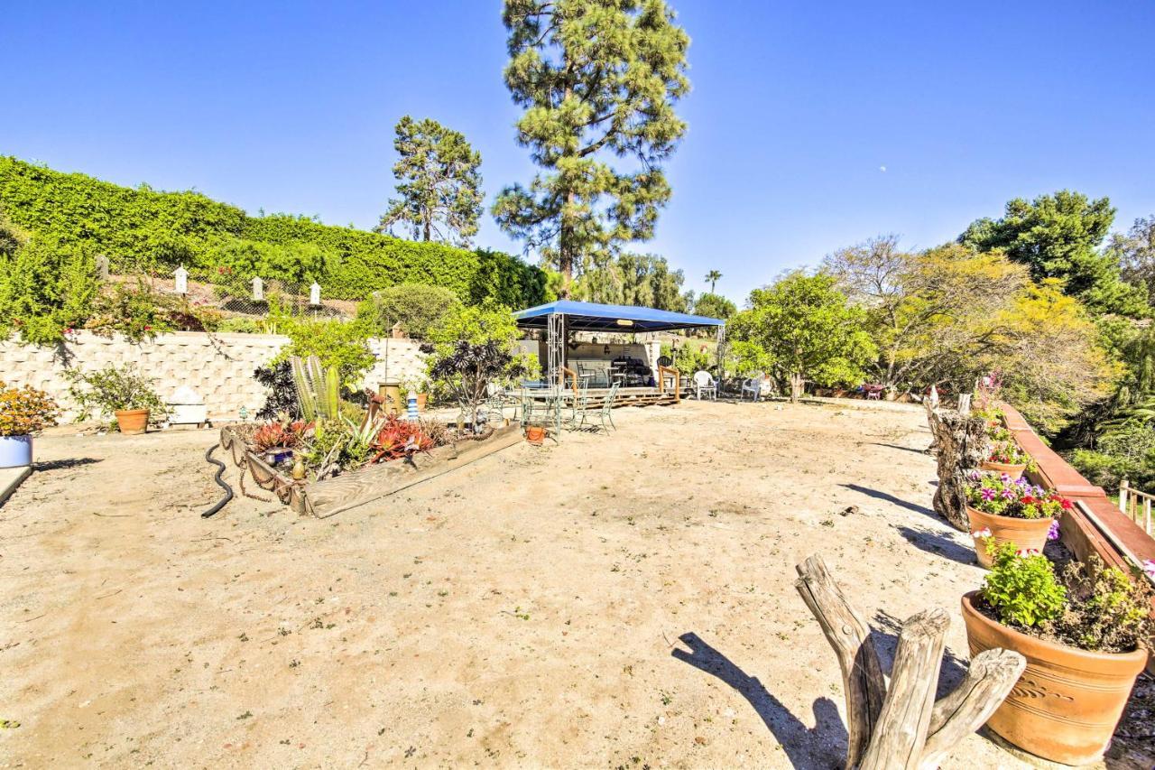 Sunny Bonita Studio About 5 Mi To Historic Dtwn! Bagian luar foto
